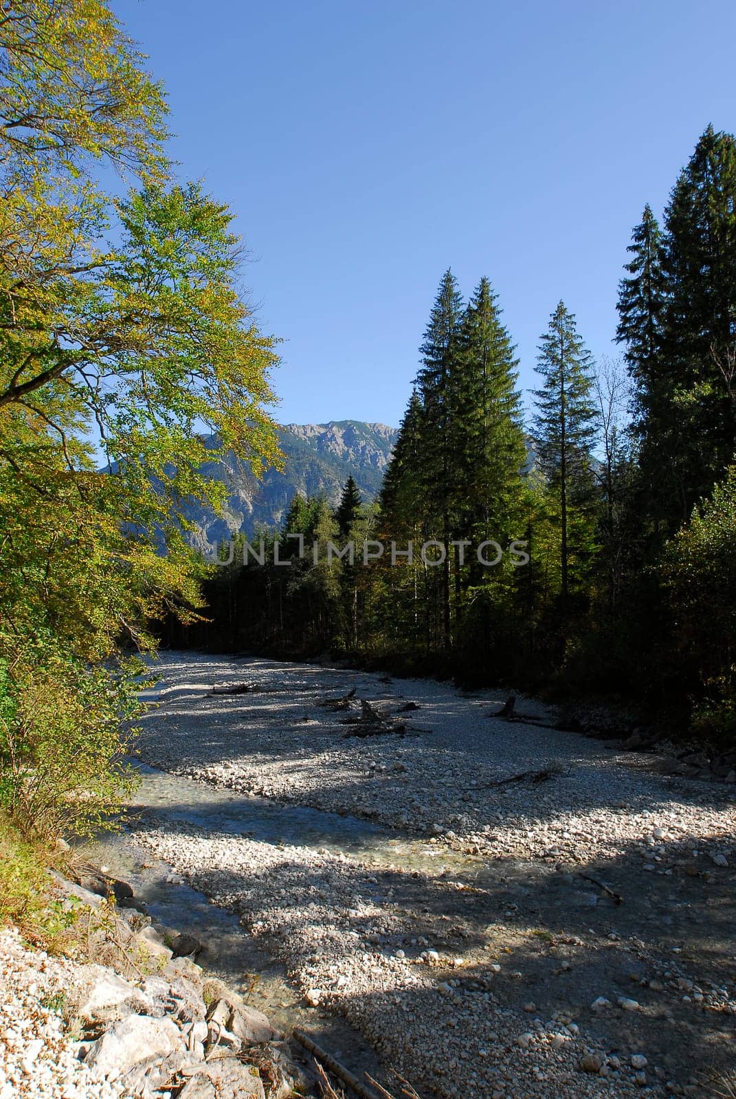 Mountain stream