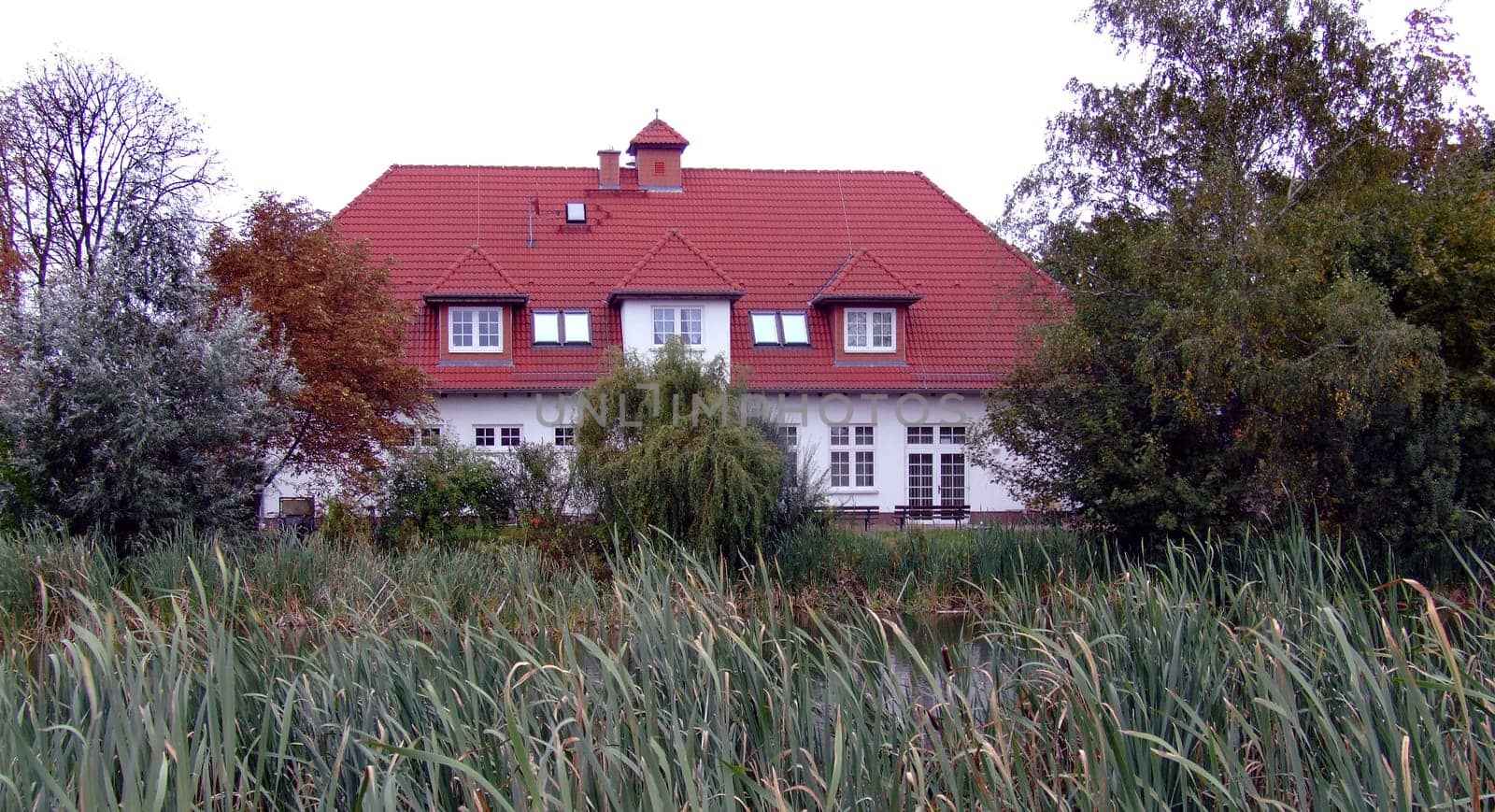 Home