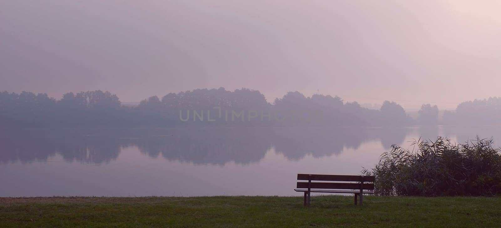 Foggy Morning