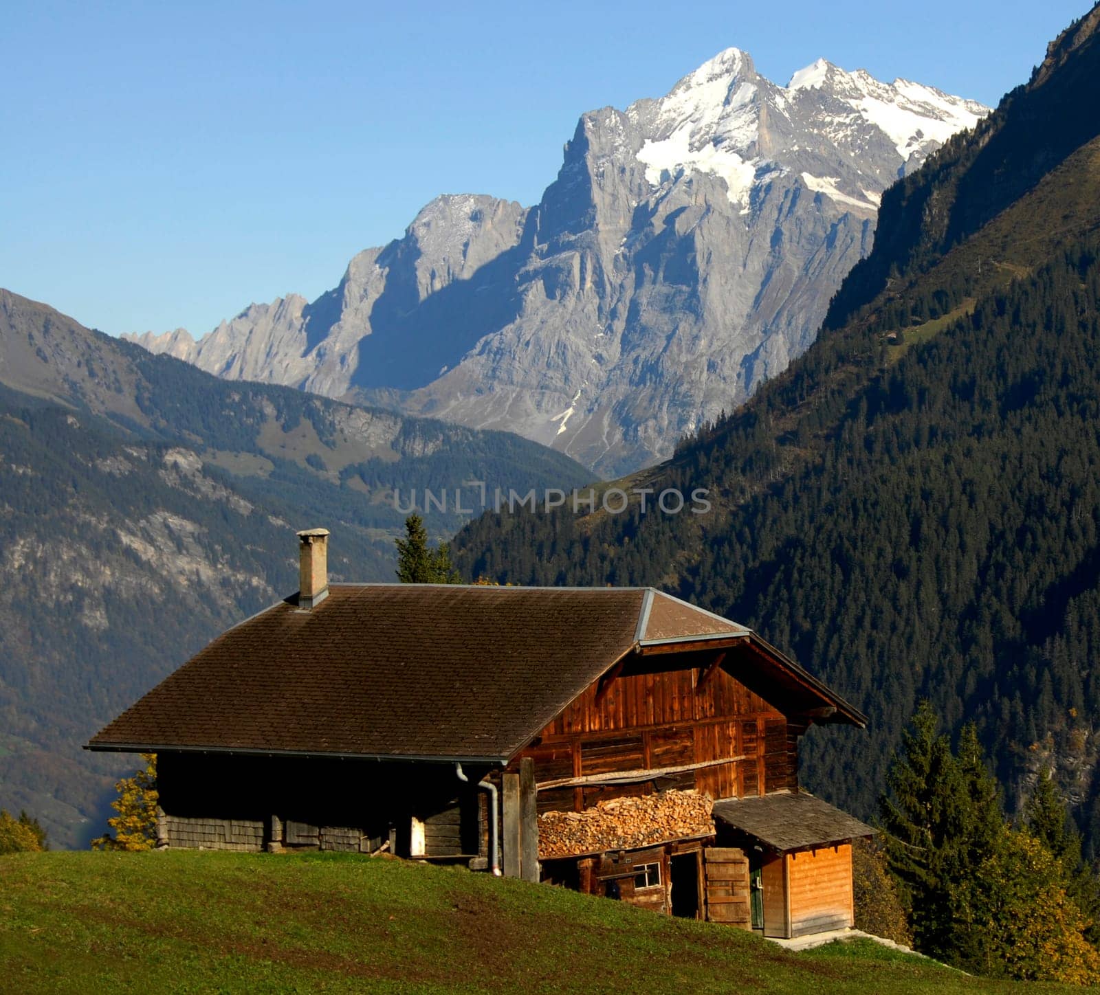 Taken during a hike in the Bernese Oberland. In the background you can see the Wetterhorn,with a height of 3701 meters a rather small mountain in the Bernese Alps.