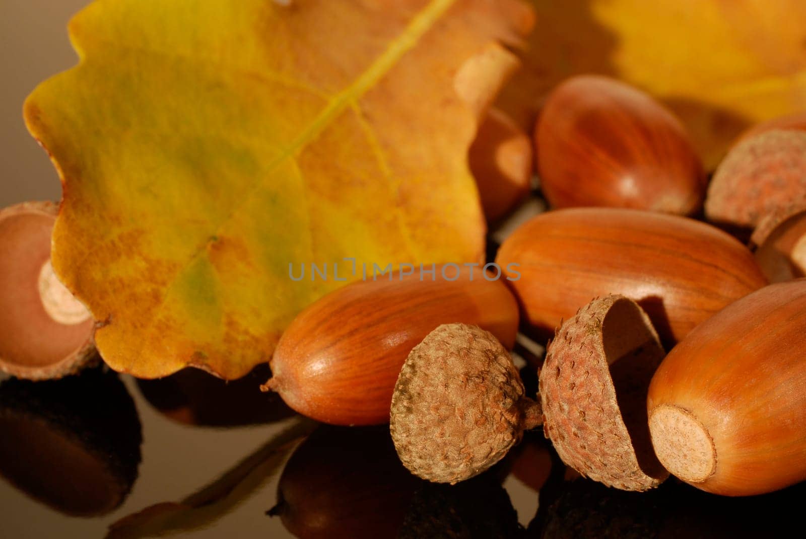 Heralds of autumn