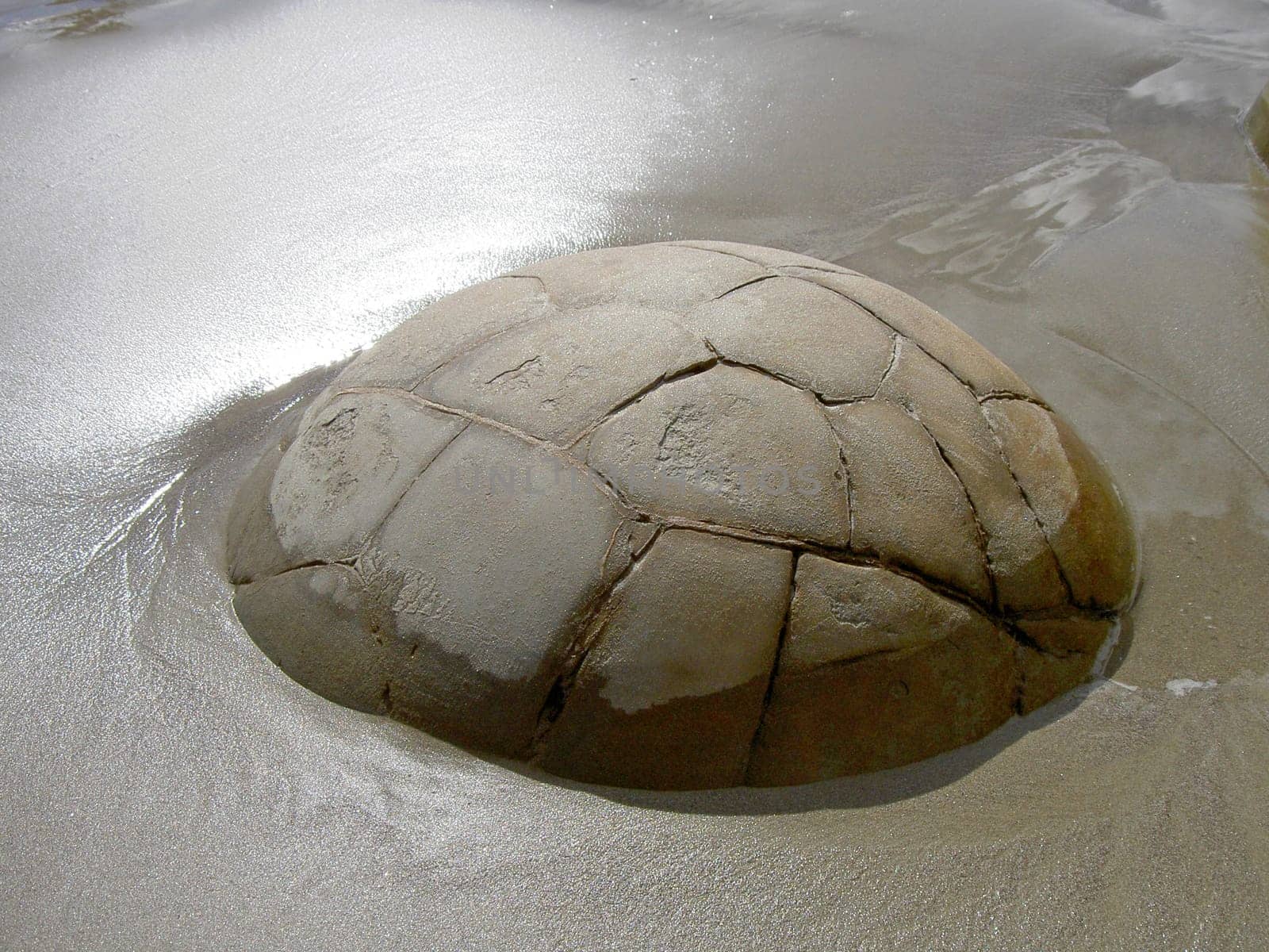 Moeraki Boulders