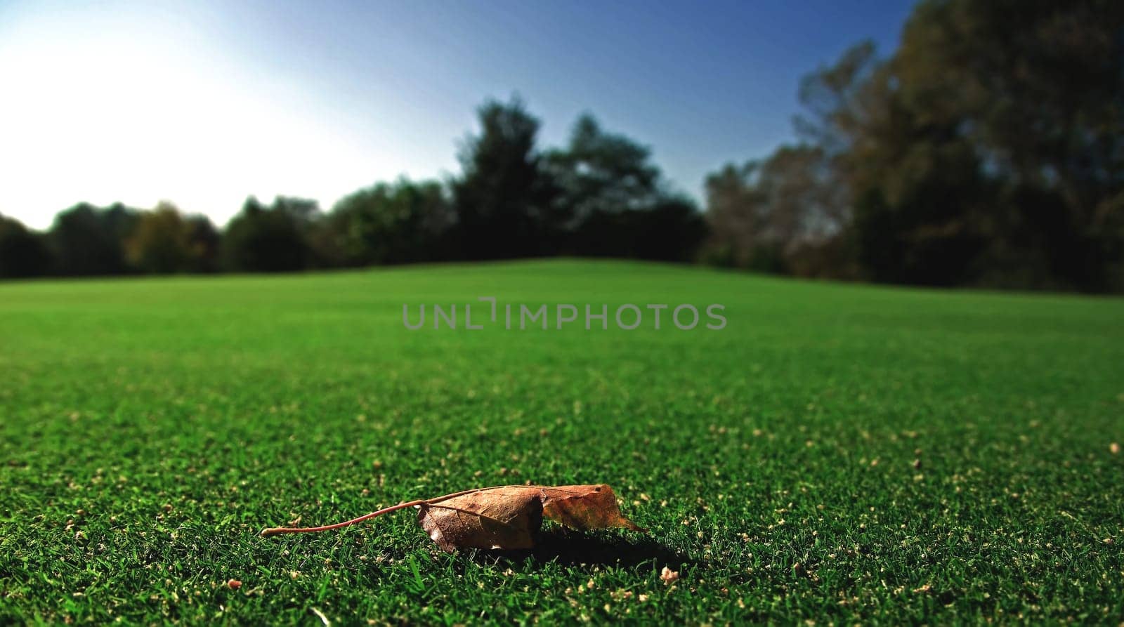 On a golf course