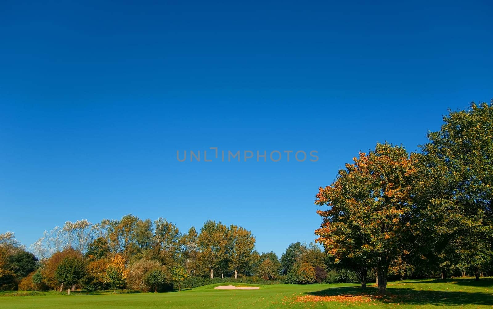 in autumn