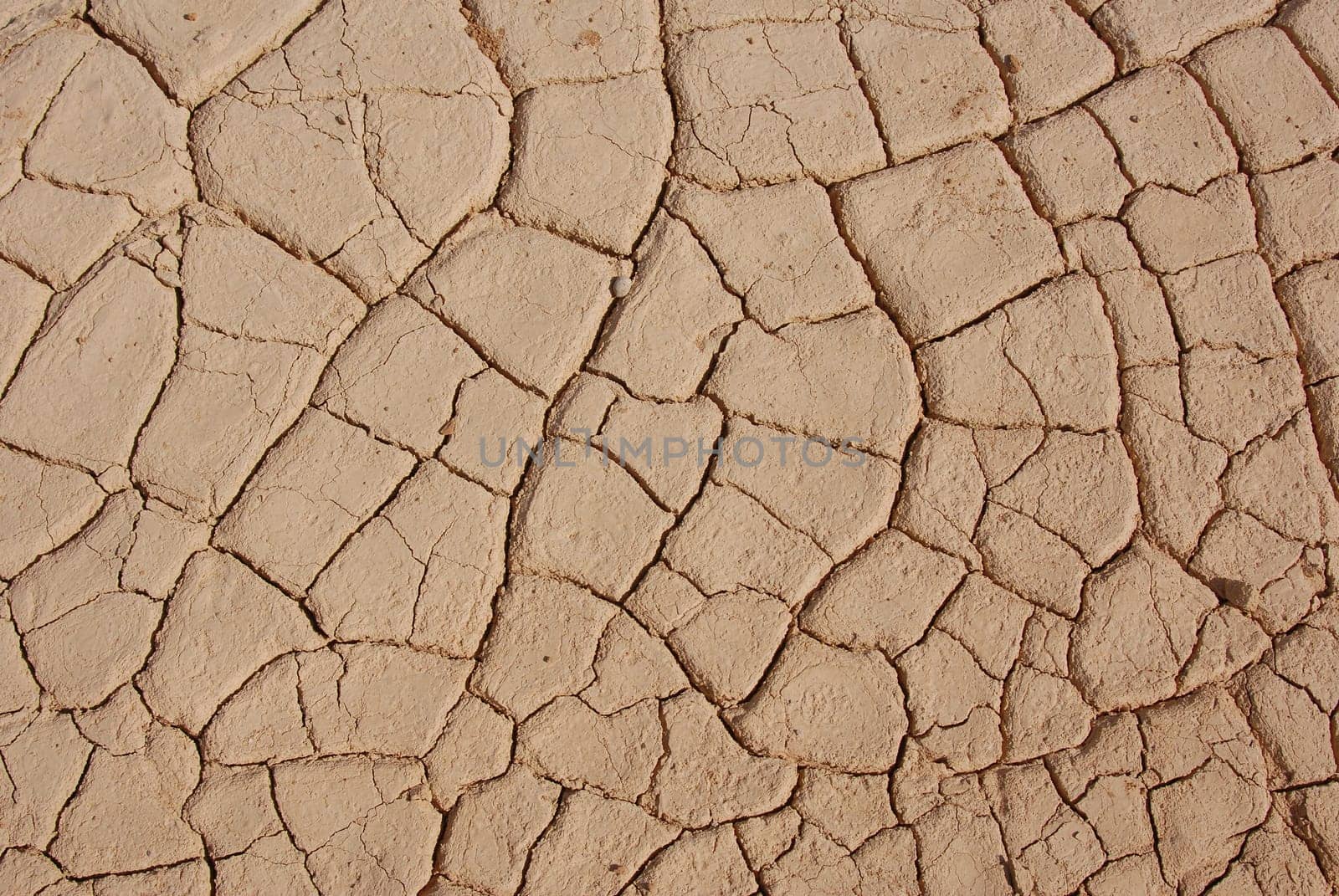 Dryness