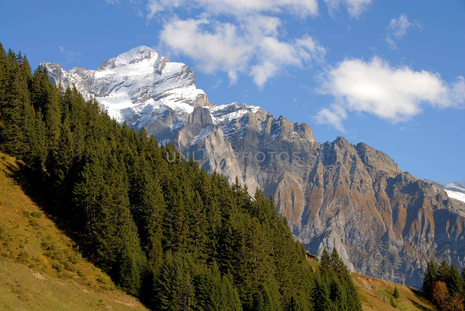 The Wetterhorn,also known as the mountain of Grindelwald because of its beauty,attracts not only mountaineers. Many tourists marvel at this mountain,some may come up with the idea of standing up there. The ascent from the Glecksteinhütt