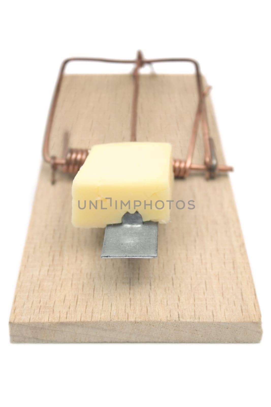 Mouse trap