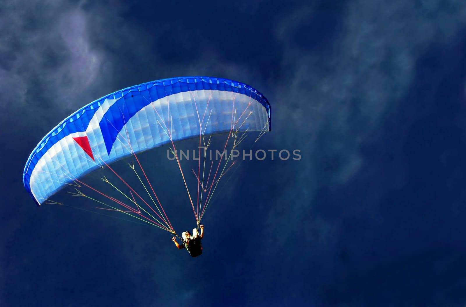Paragliders