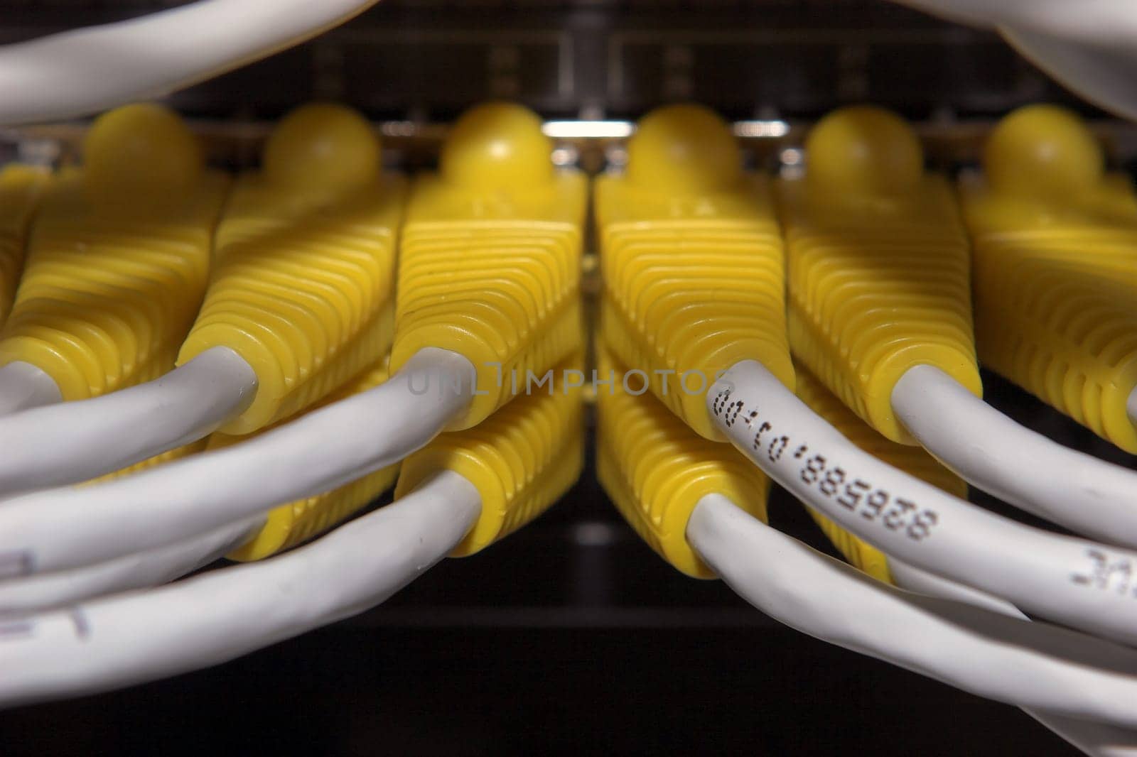 Network VII