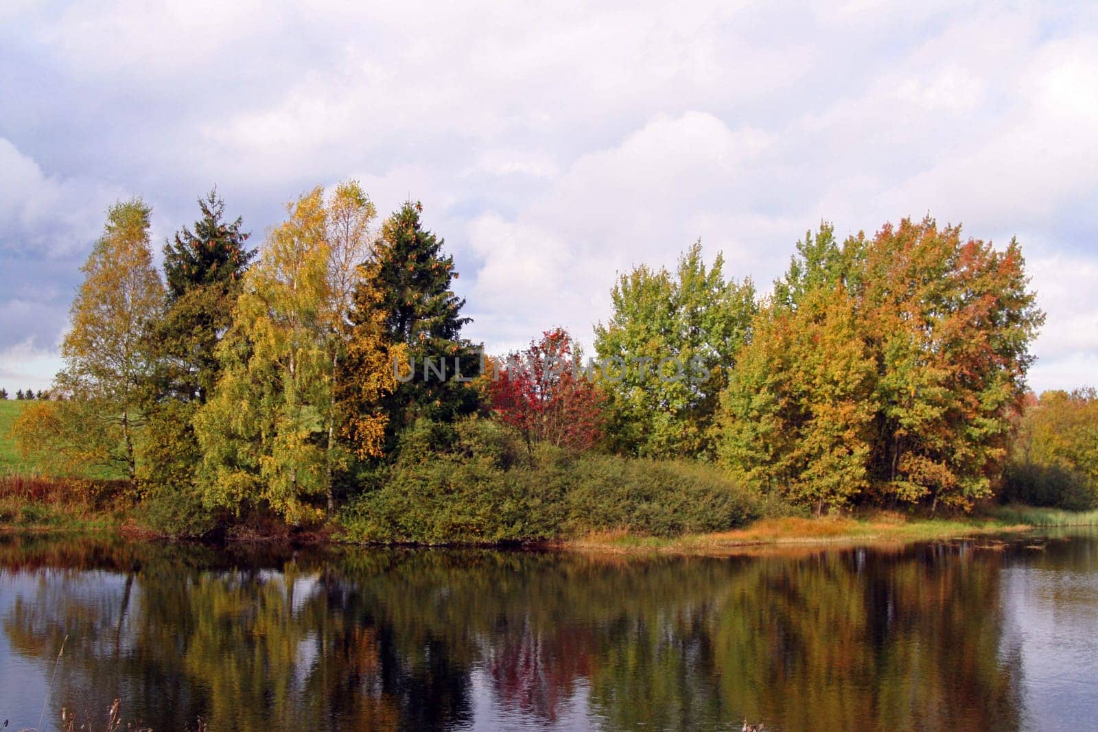 Golden Autumn
