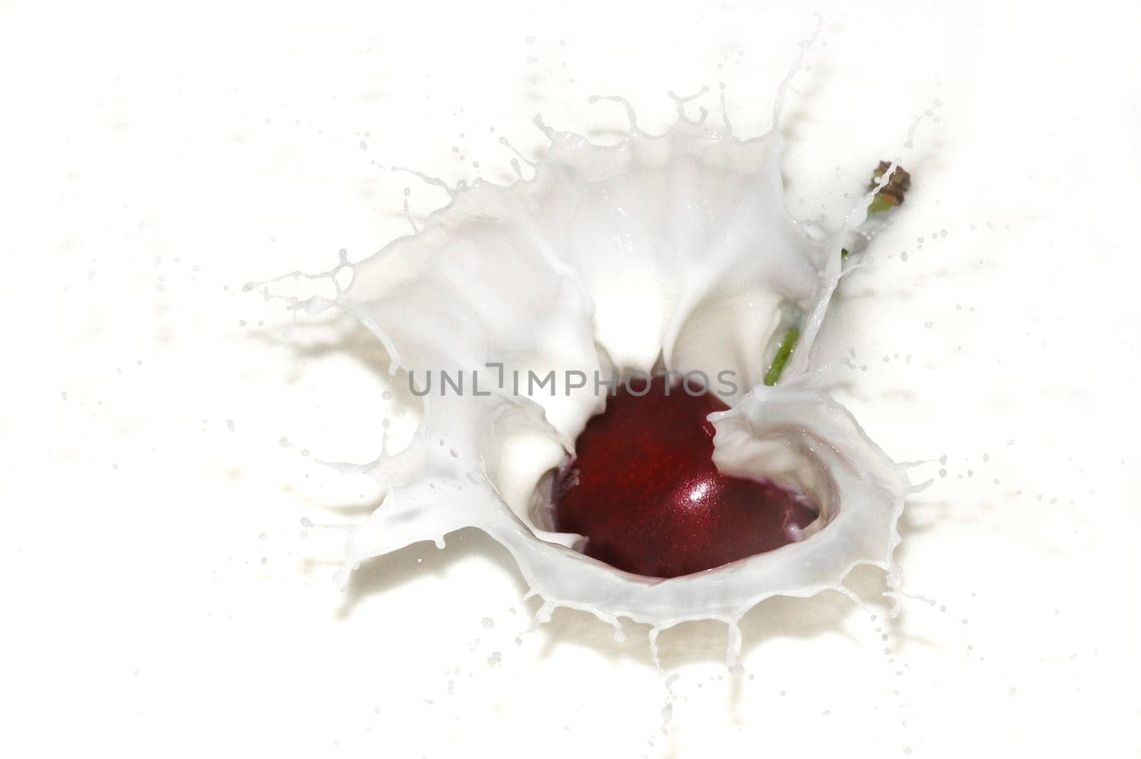 A cherry falls into milk