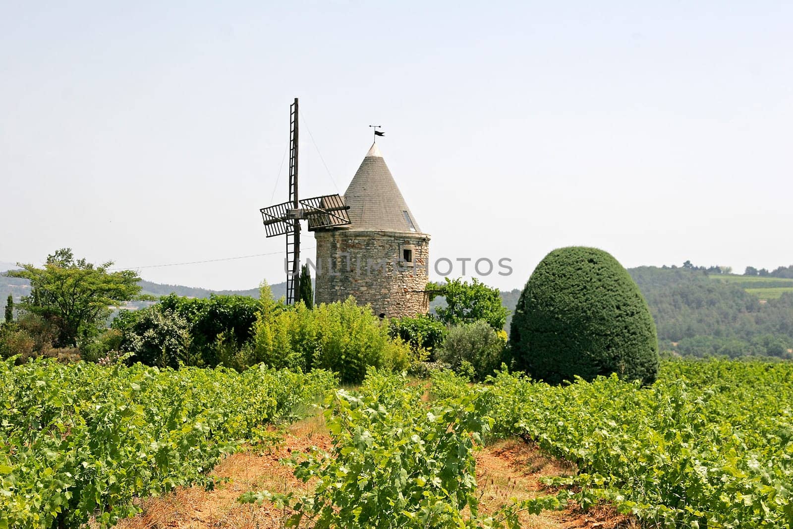 Windmill near Goult,Provence