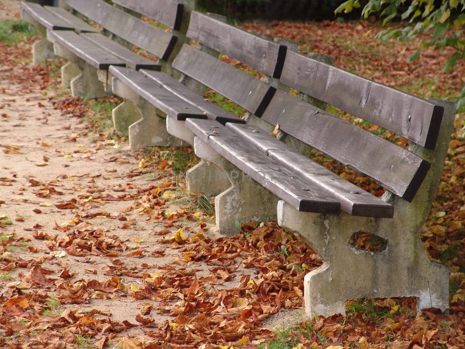 Park benches