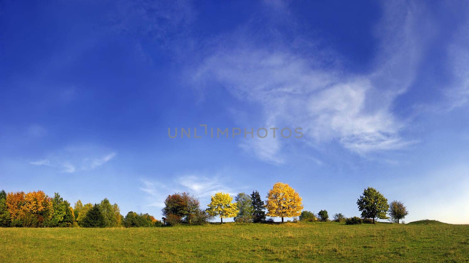 Autumn skies