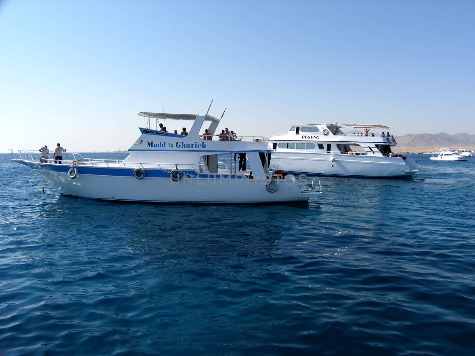 Diving - Safari