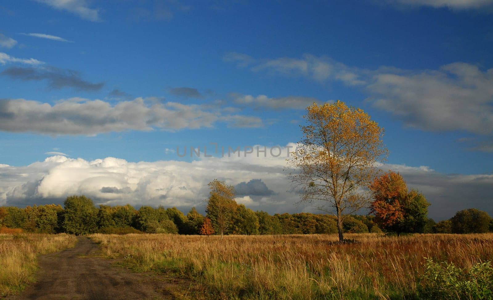 Even if we can't afford mountains,our landscape can be very charming,especially now in autumn............ dear Pete!:-)
