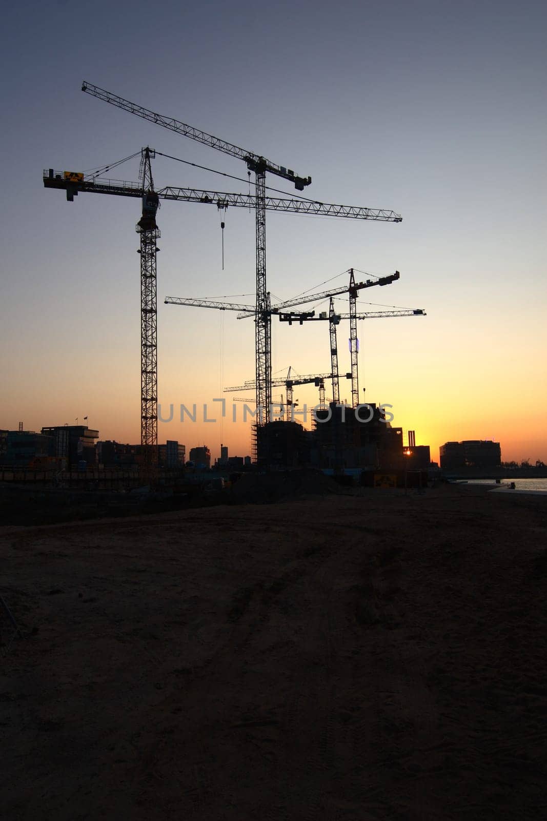 Morning cranes