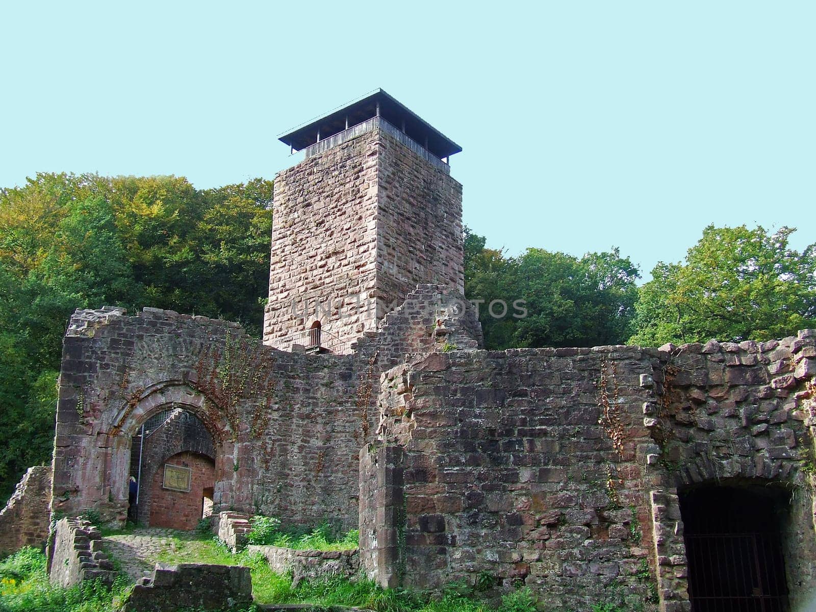 Neckarsteinach Castle