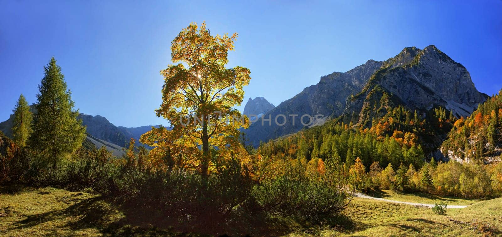 The picture was taken in the Falzthurntal near the Gramaialm near Lake Achensee. The Sonnjoch summit can be seen in the background. The image is composed of several portrait wide-angle images.