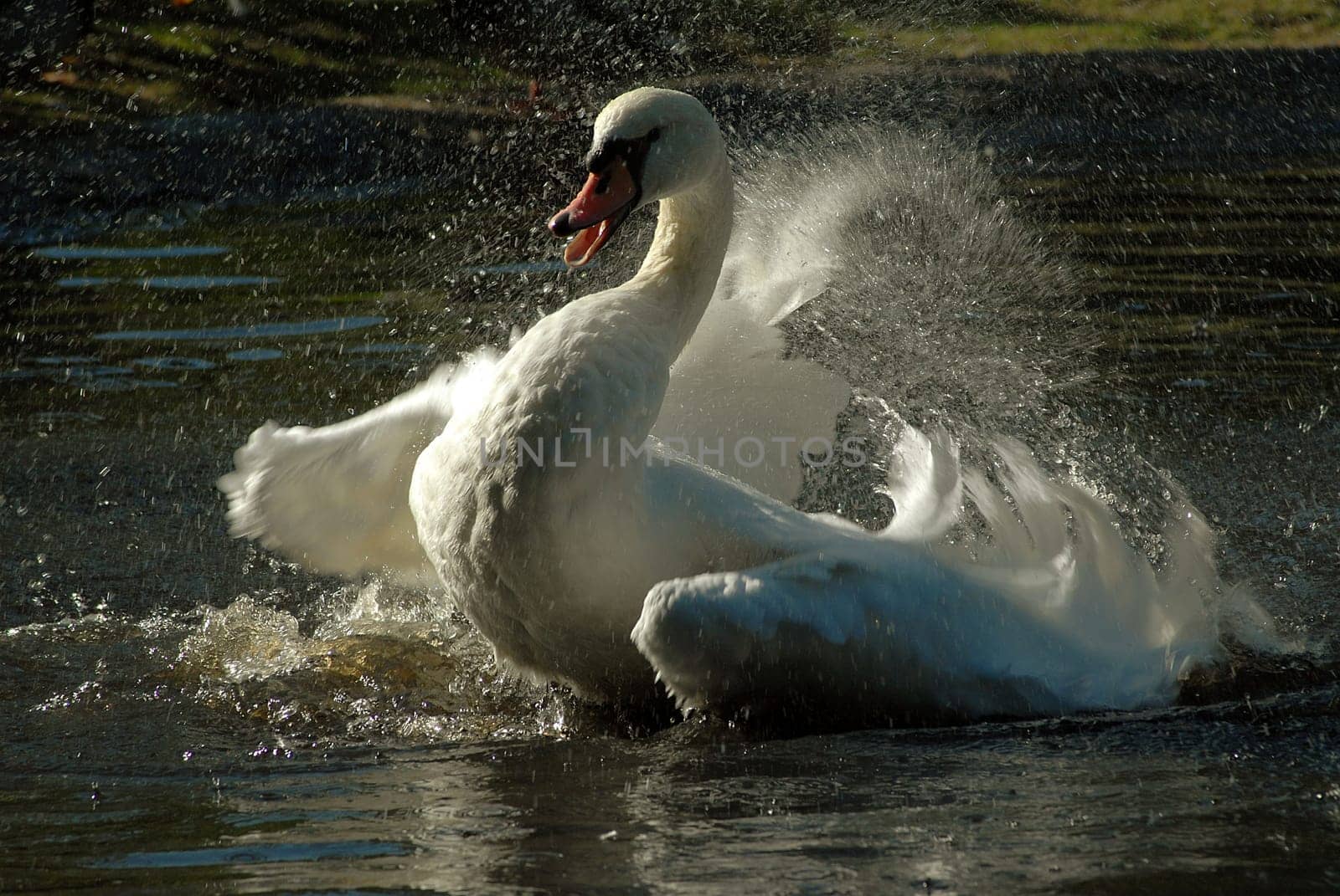 I'm still practicing when it comes to movement.......!:-)