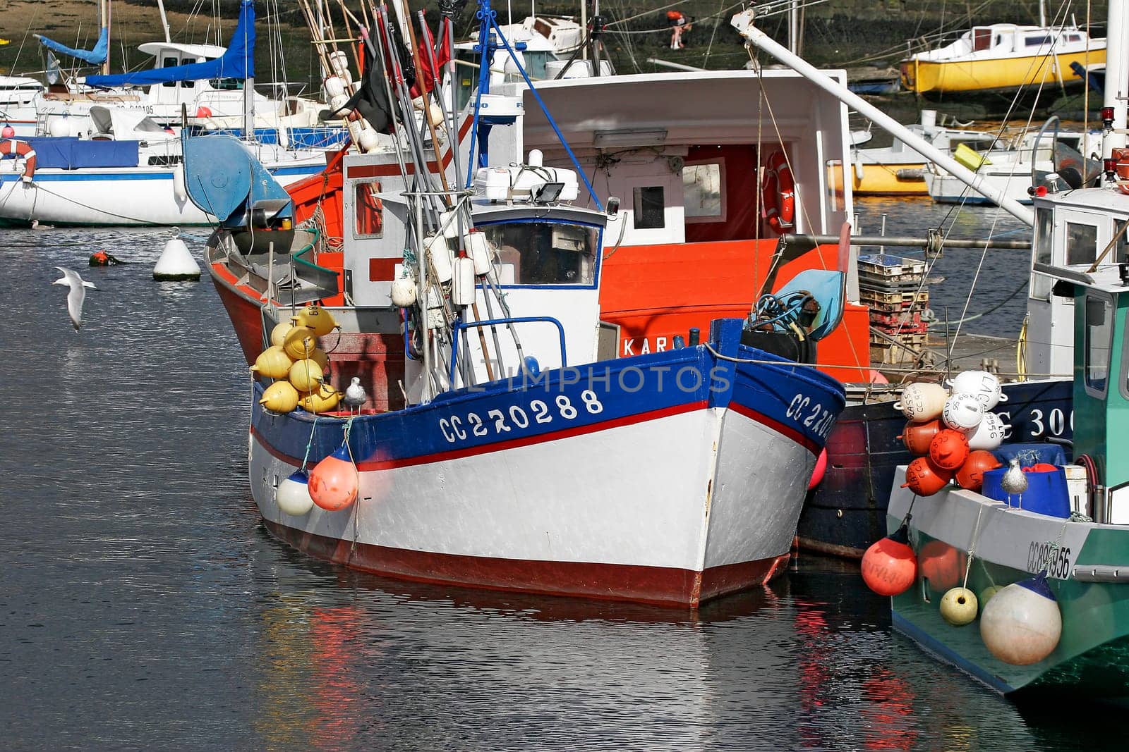 Concarneau,Port,Brittany