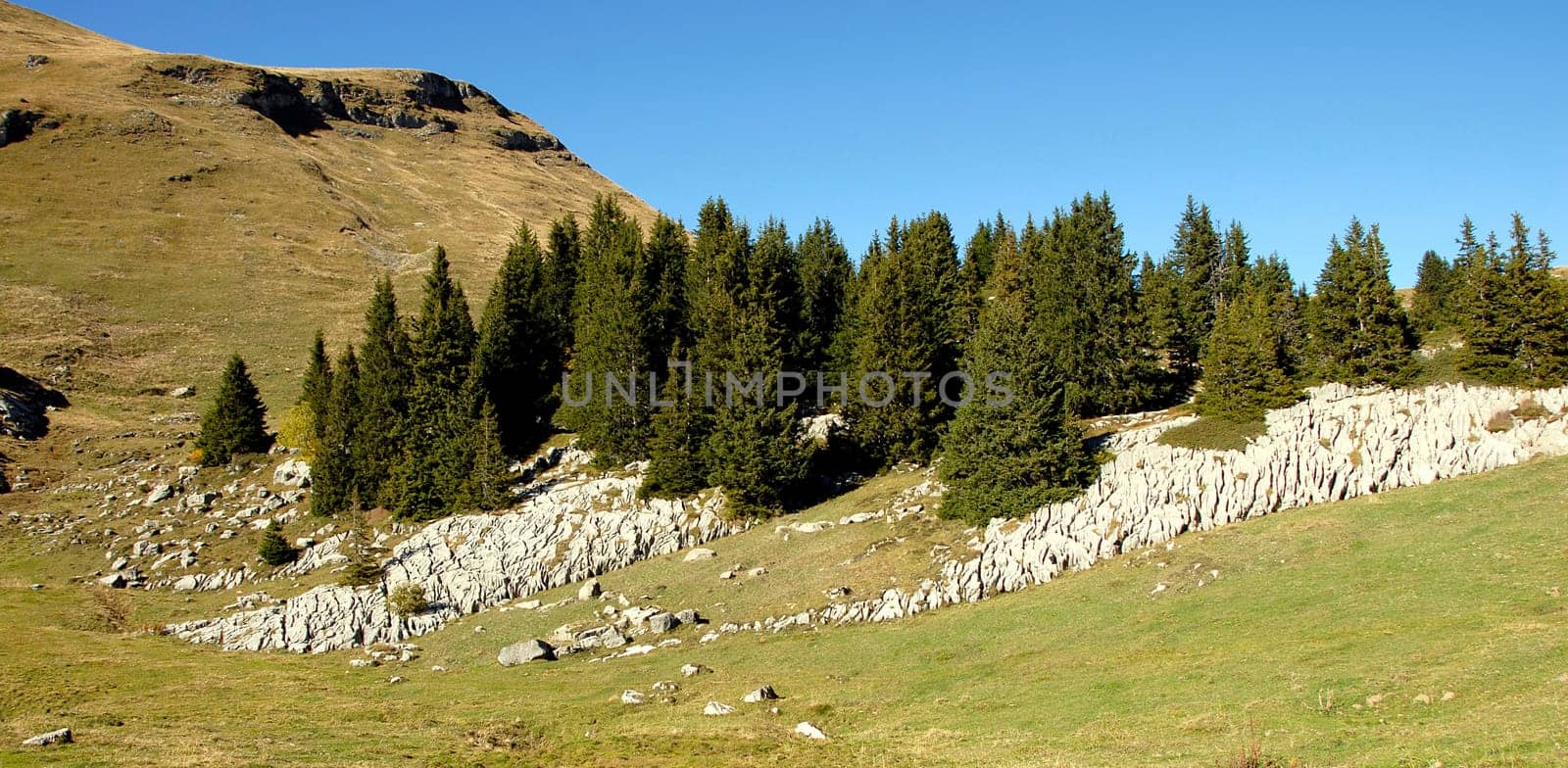 At the altitude of 1955 meters above sea level,even a little above the tree line