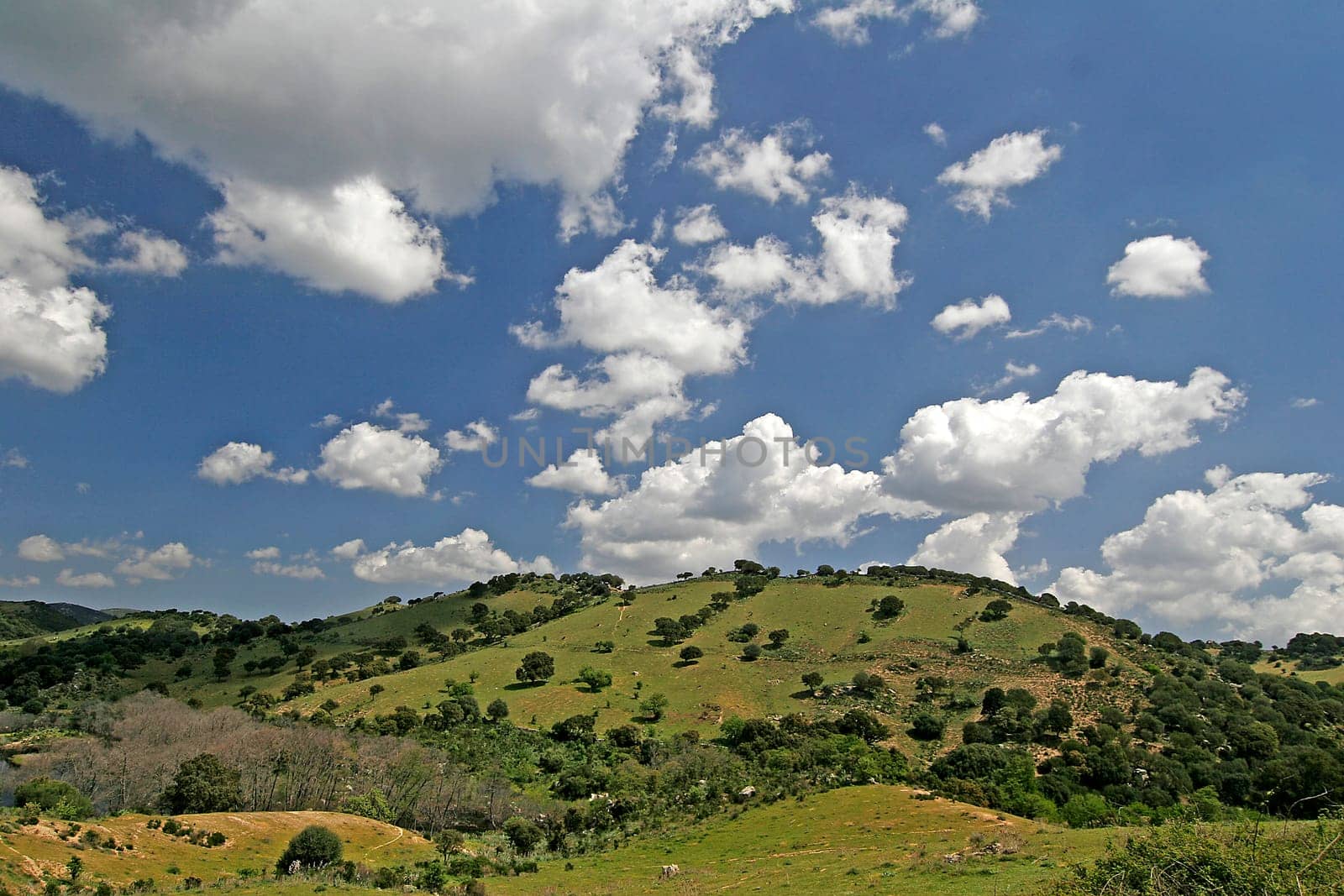 On Lake Liscia,hilly landscape