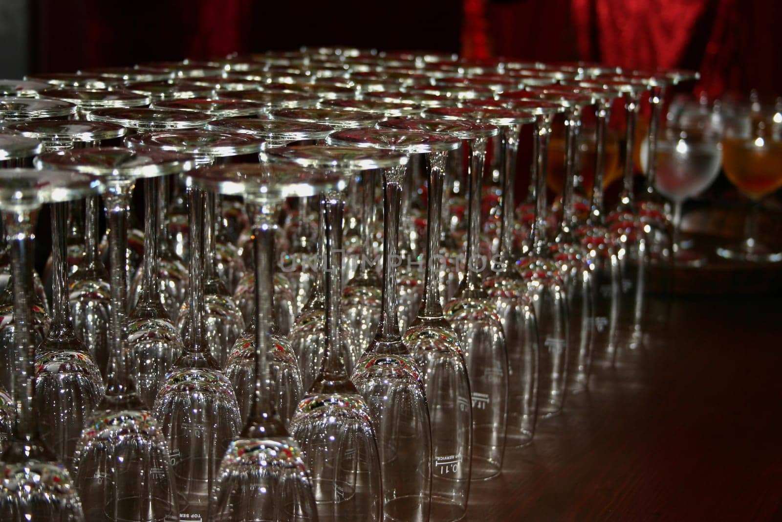Champagne reception (2)