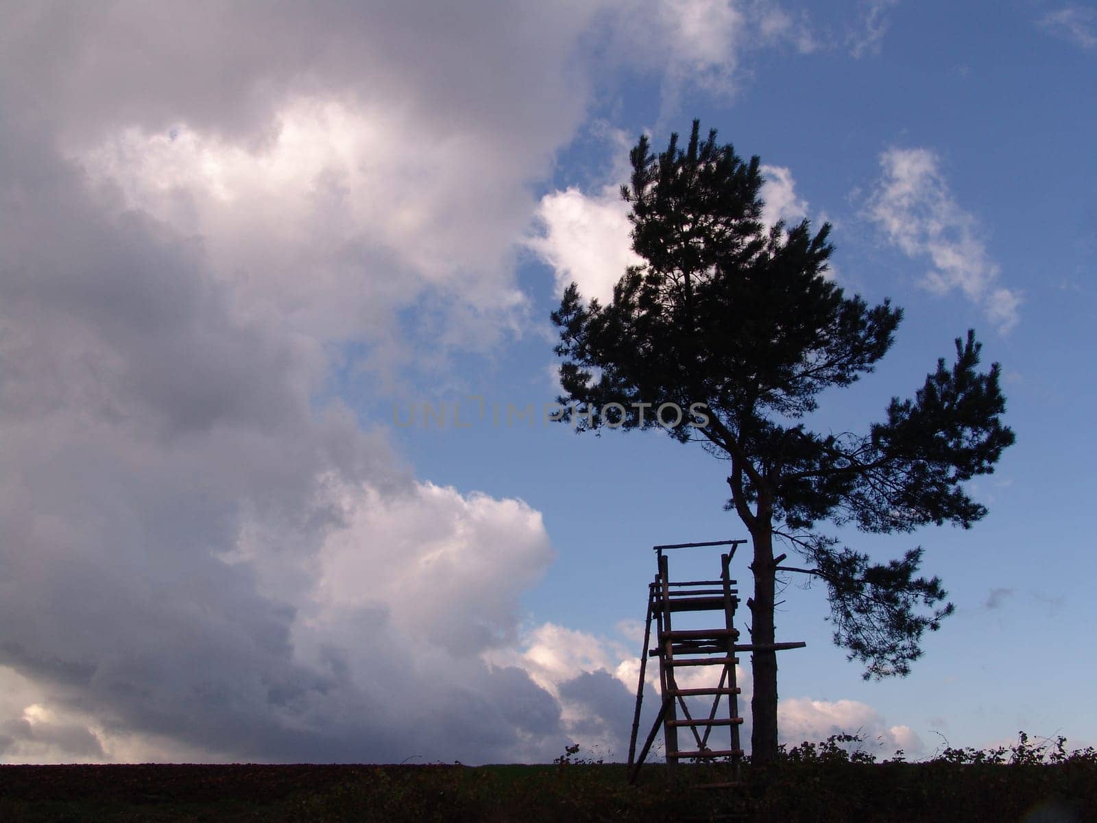 Hunter's seat