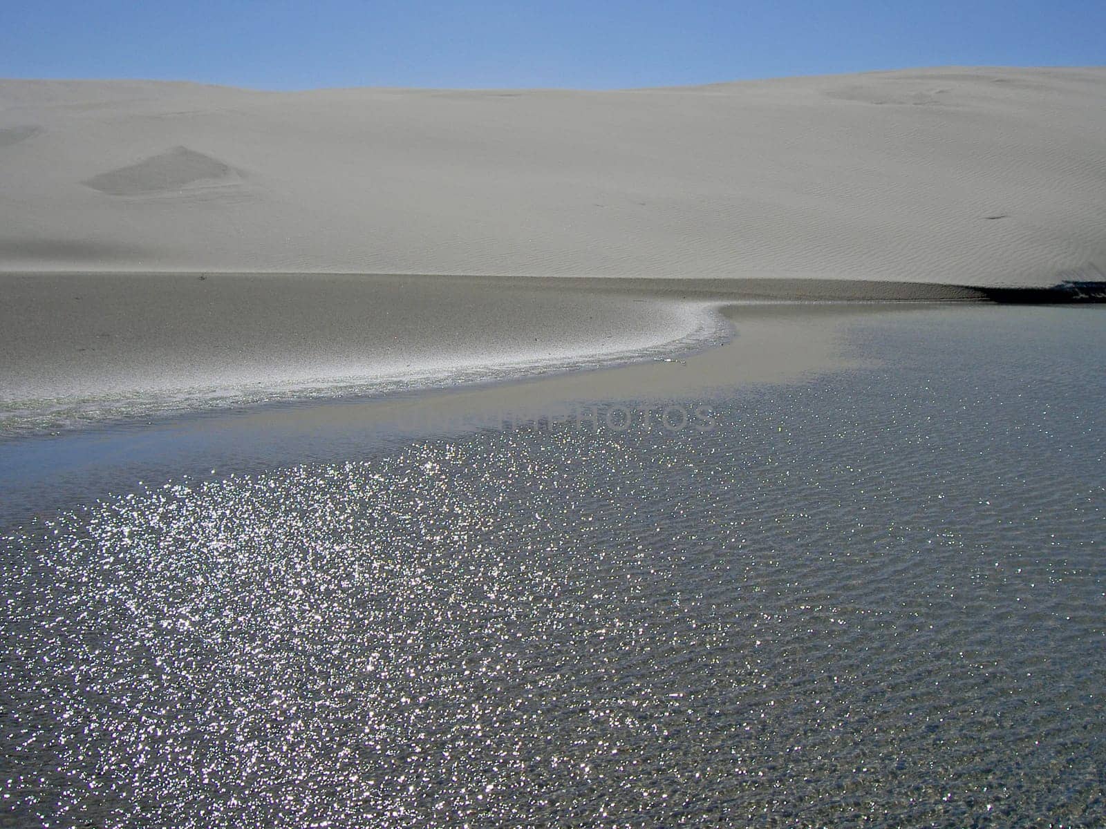 Beach at Farewell Spit