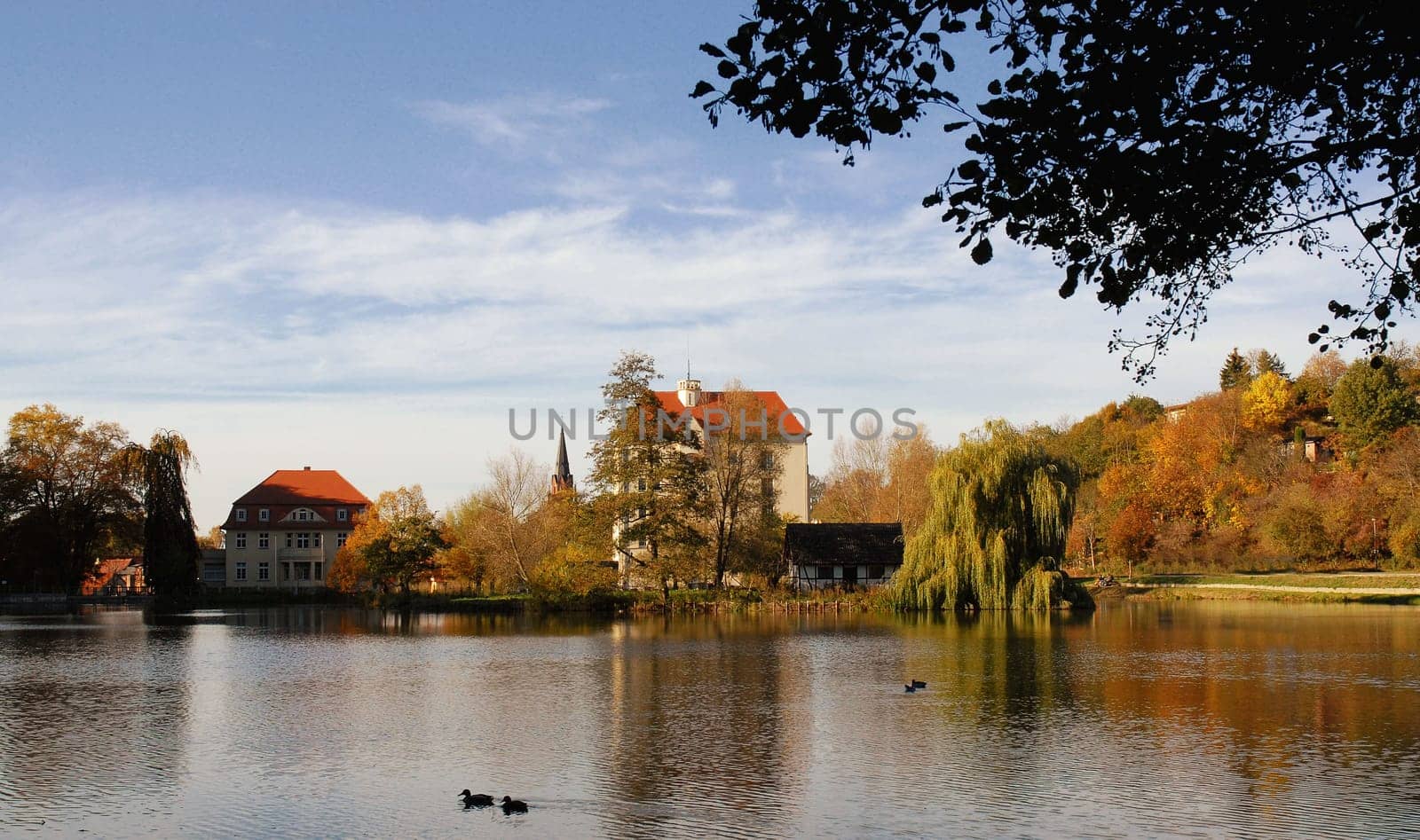 It didn't look like that for us today! It was raining like jugs.....! But a week ago it looked like this at our mill pond!:-)