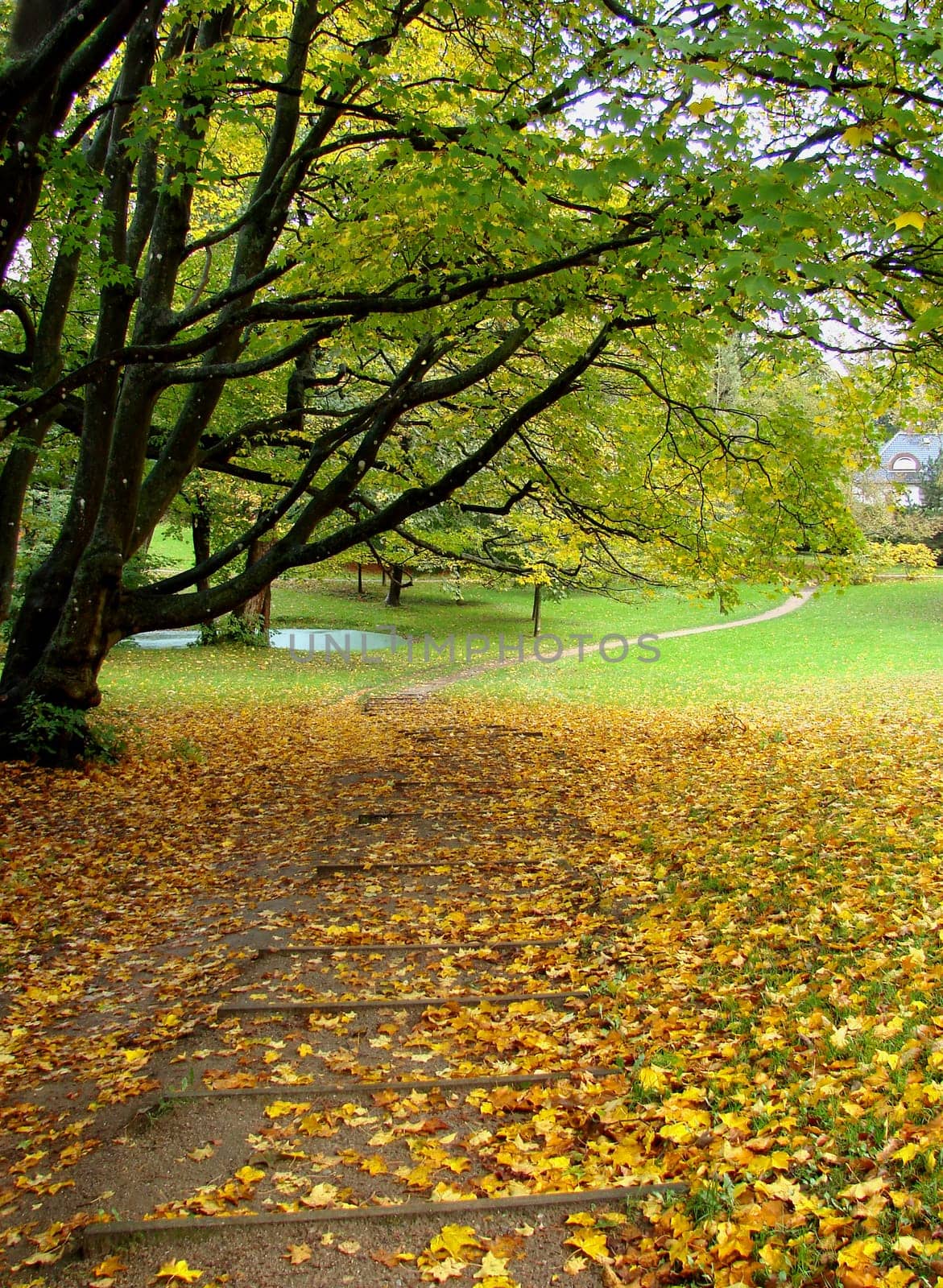 Autumn Park