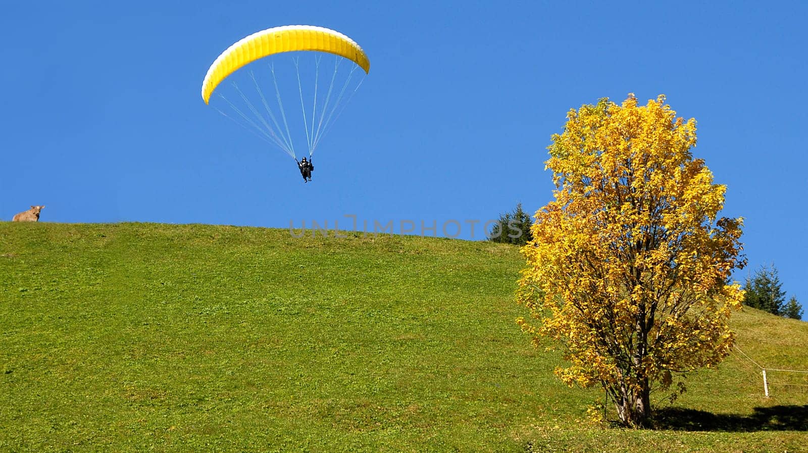 Attentive observation during the launch of a hang glider