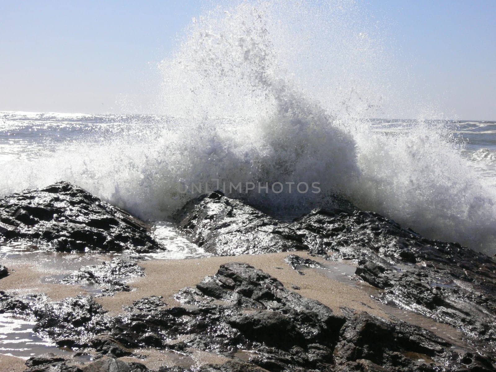 Portuguese Wave