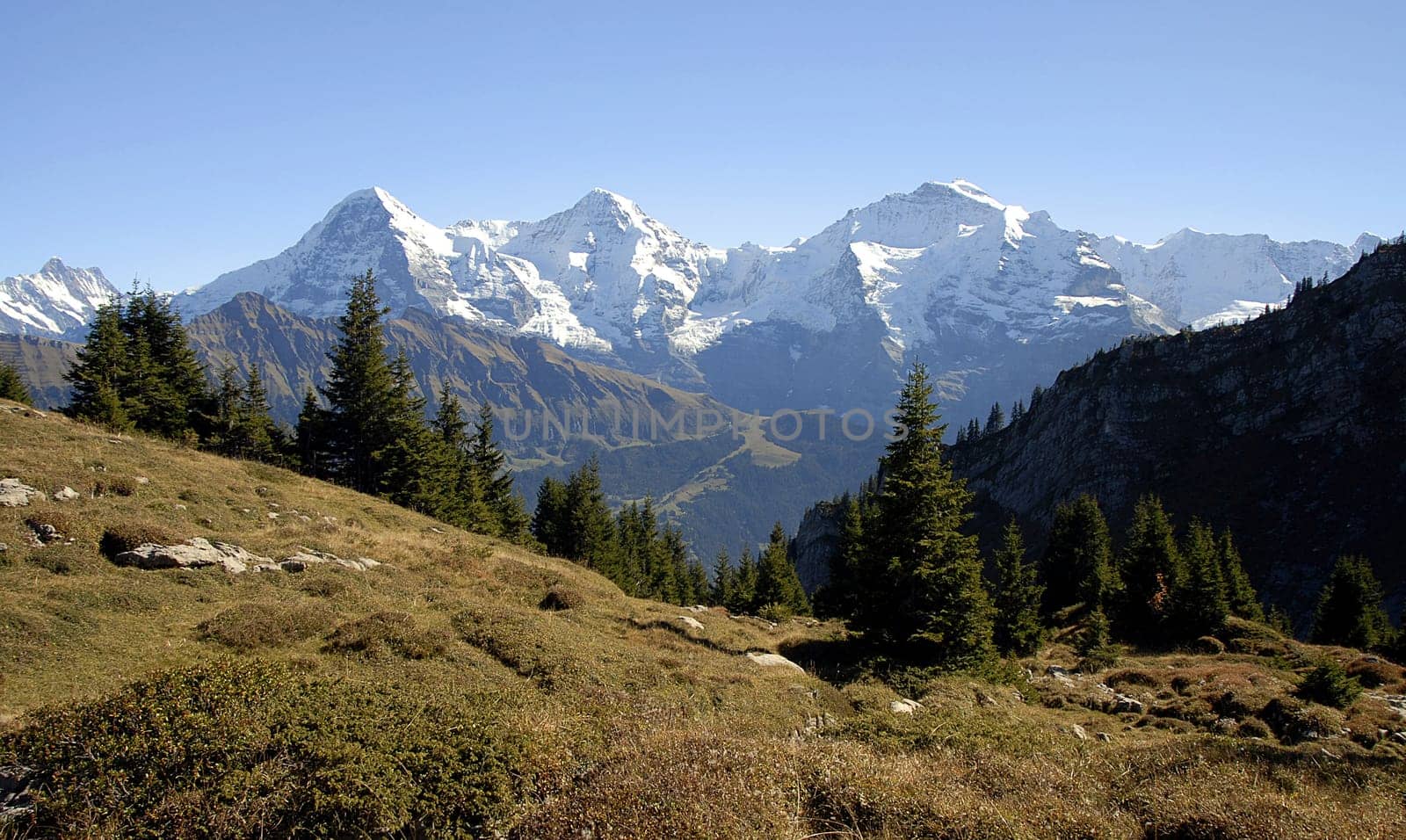 From left to right you can see the famous peaks of the Jungfrau massif Jungfrau (4158 m),Mönch (4099 m) and Eiger (3970 m). With this picture I also conclude the series about the Bernese Oberland. I hope you liked one or the other picture