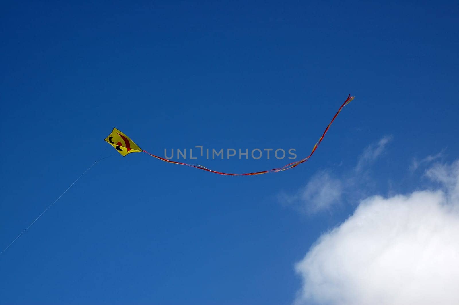 Kite