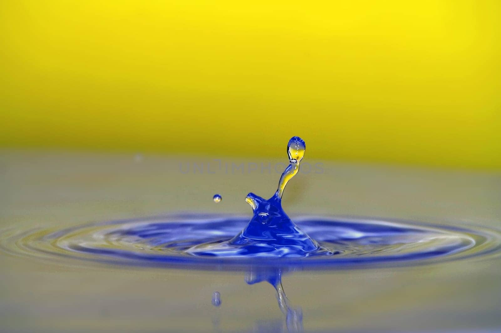 Water droplets compliment