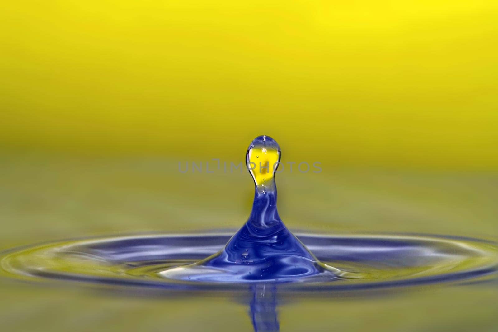 Water sculpture yellow blue