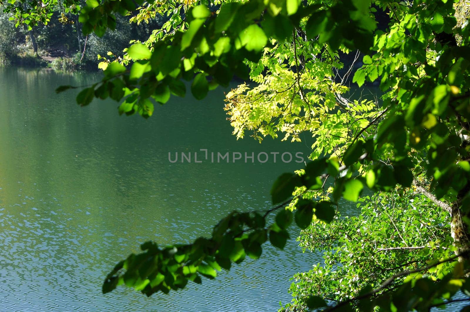 Summer day