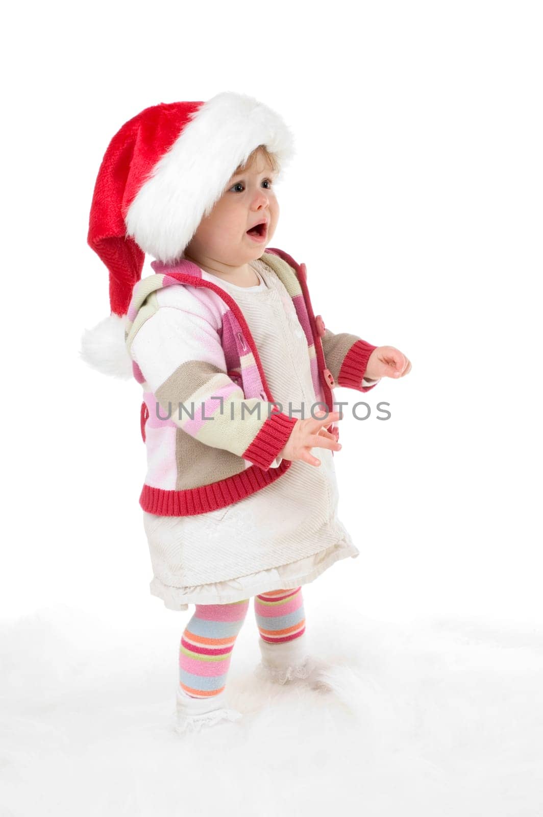 Christmas portrait