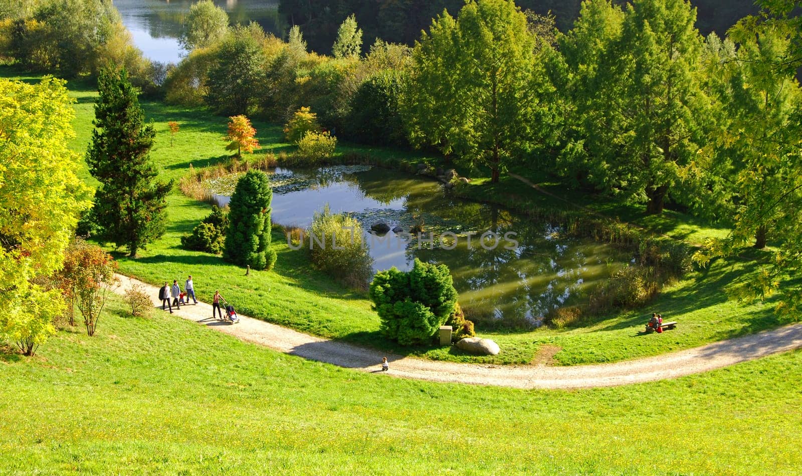 Autumn in the park
