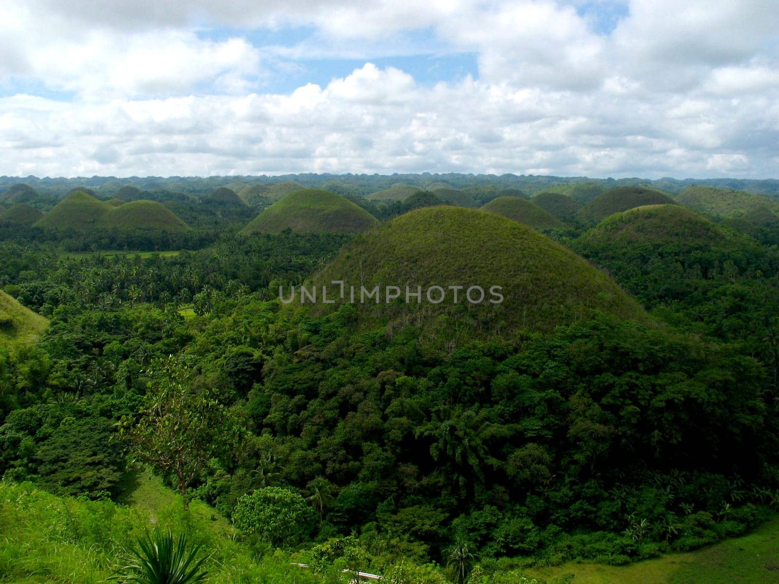 The Chocolate Hills of the island of Bohol in the Philippines. When the dry season comes to an end,the bushes and meadows turn brown. They will look like chocolate! There are over 1000 of these hills on the island!