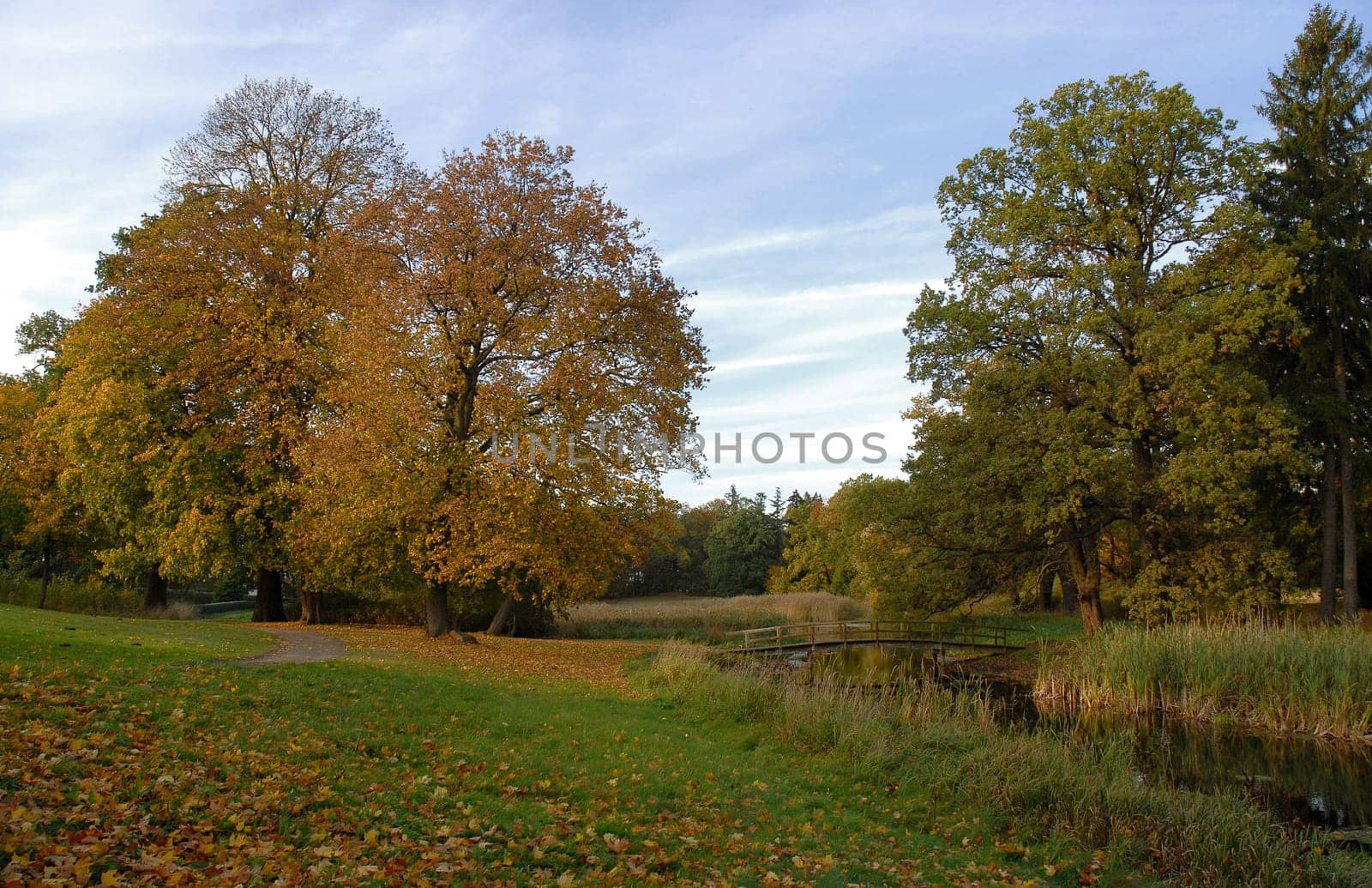 Leaf fall