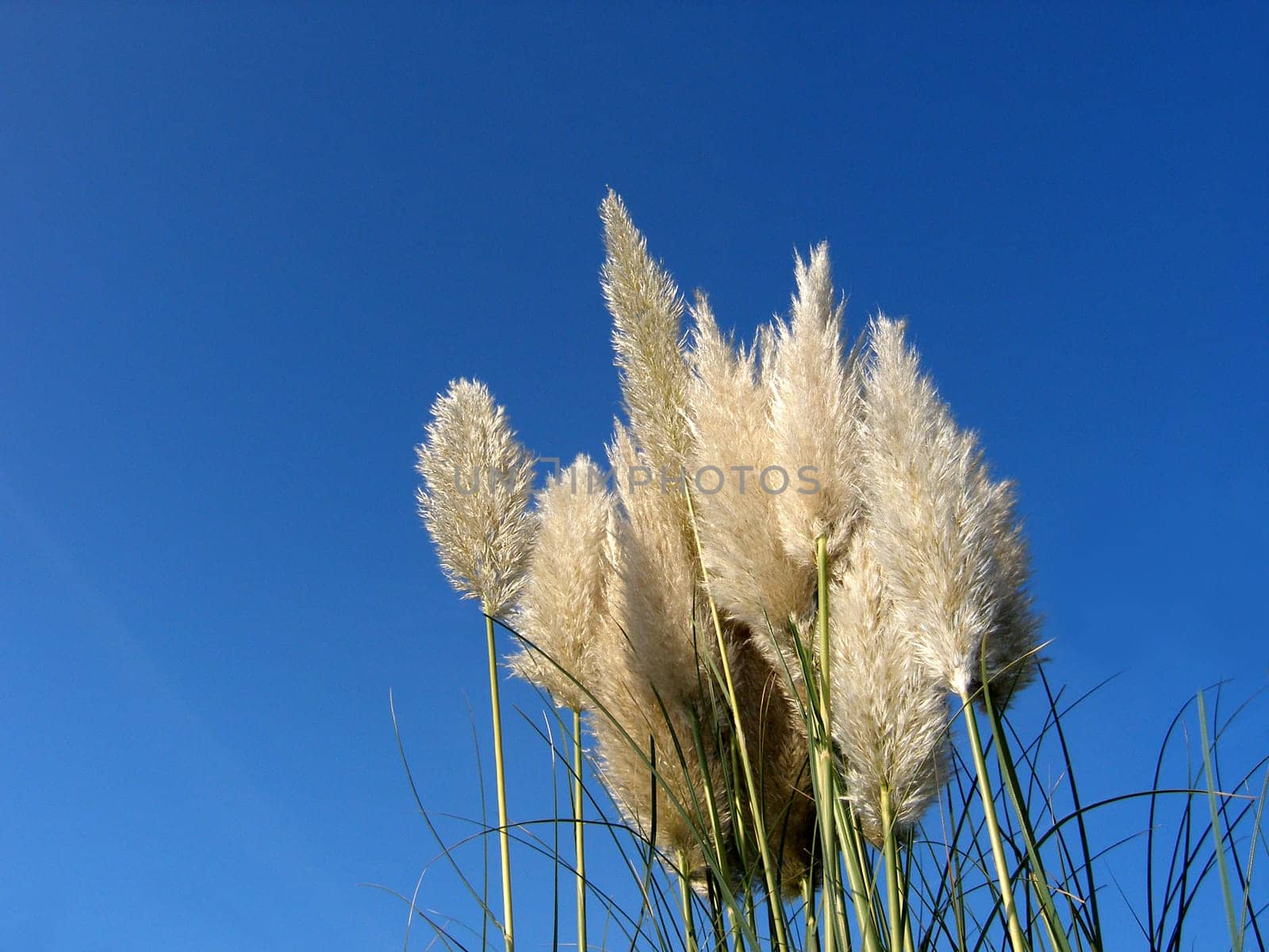 This time I don't have the plants in the middle of the picture! Greetings - Dieter -