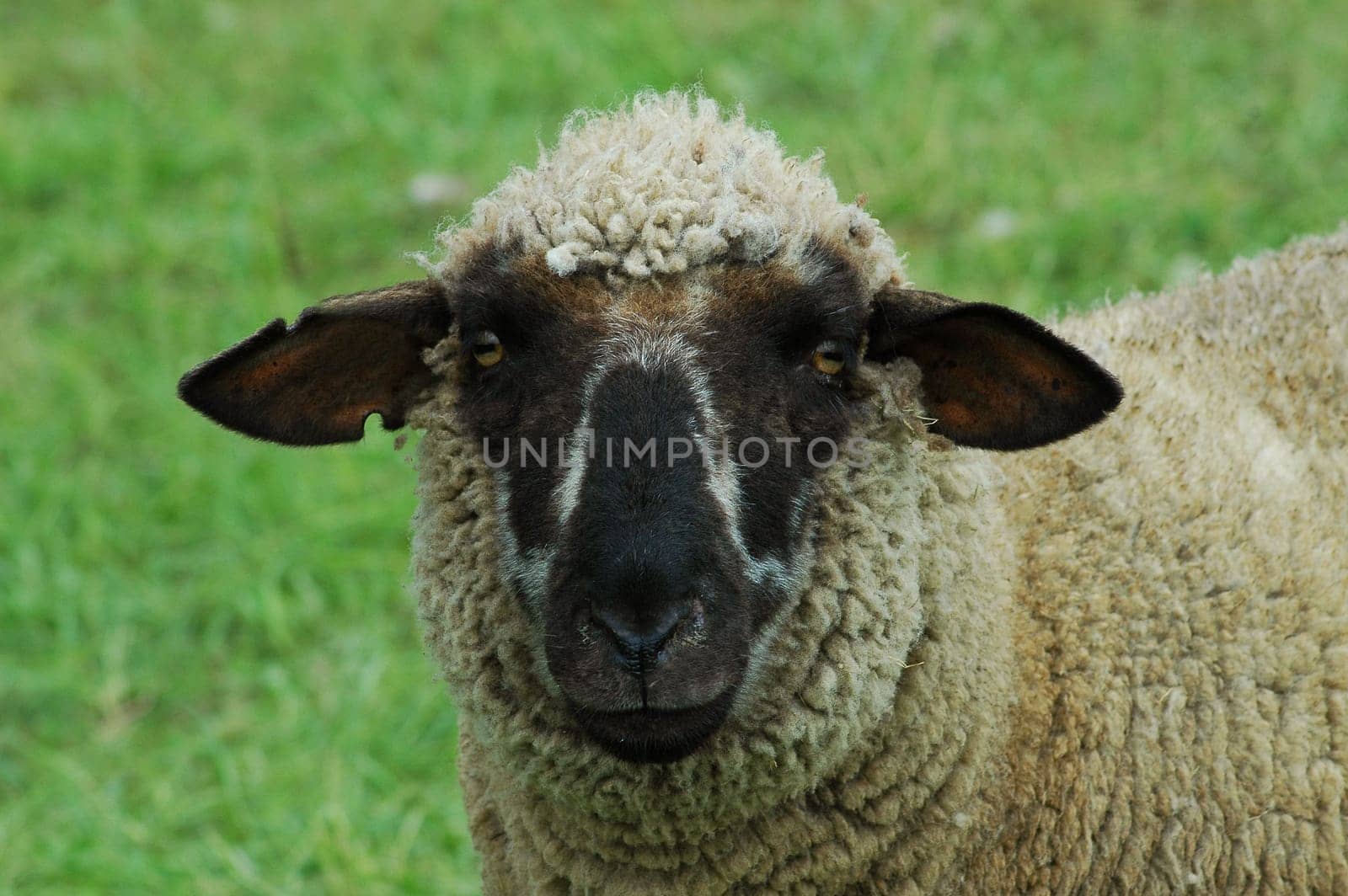Unfortunately,I will have to rummage through the archive again and again in the near future....!:-)