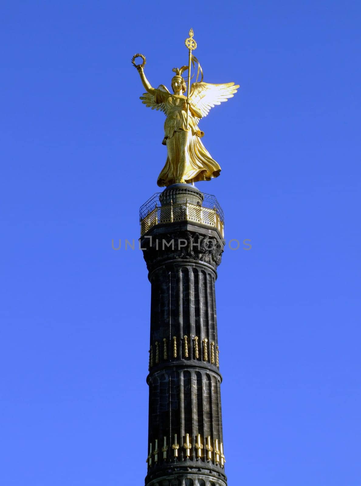 Goldelse