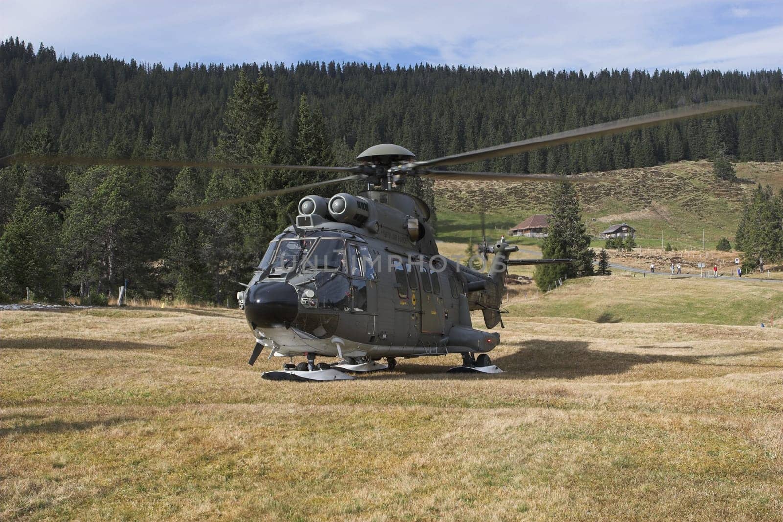 SUPER PUMA