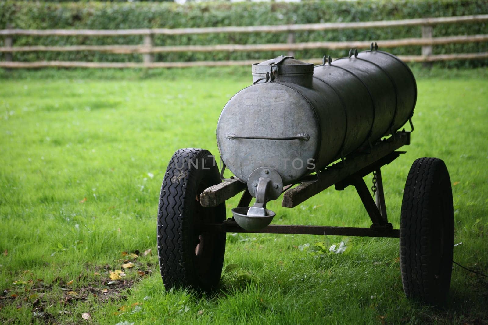 On a cattle pasture