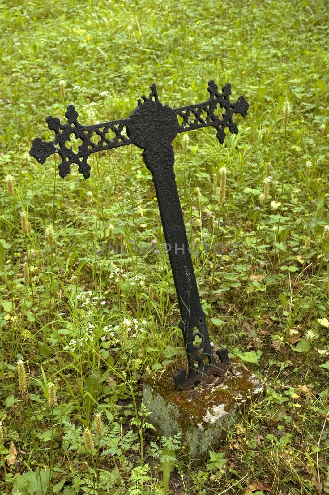 cross without section without angry