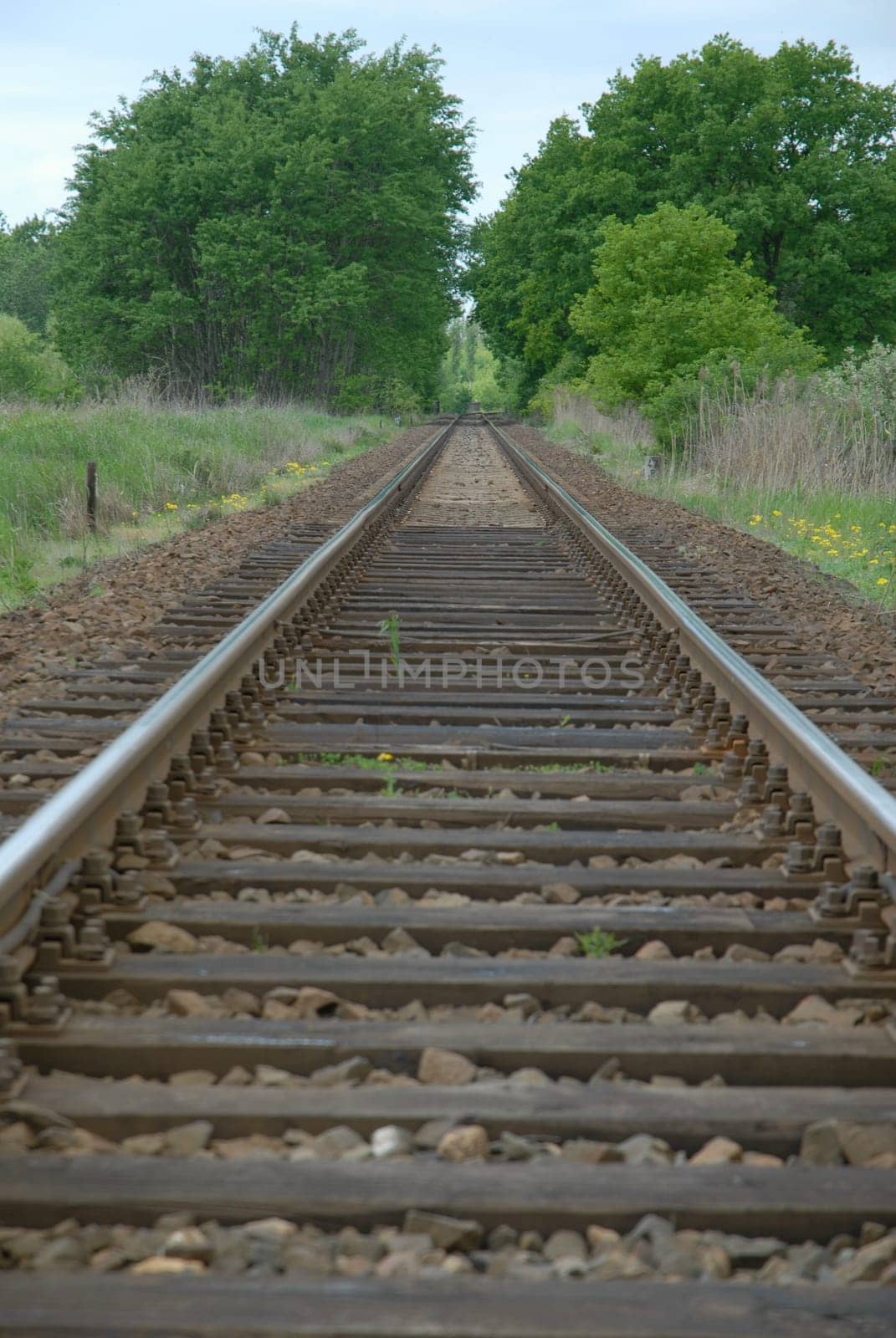 Endless rails